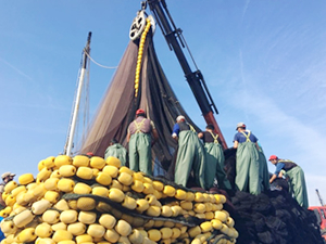 Akçakoca Balıkçı Barınağı'nda ağlar bakıma alındı