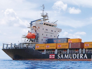 Samudera Shipping iki gemisini satıyor