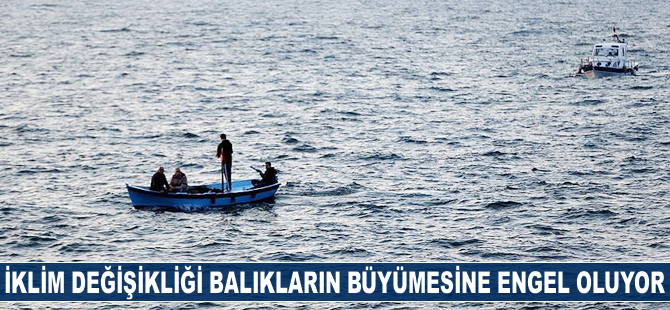 'İklim değişikliği denizleri kuruttu'