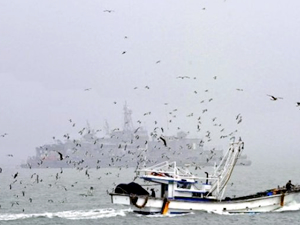 KDHC, Güney Kore'ye ait bir tekneyi serbest bıraktı