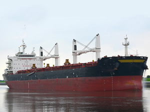 Scorpio Bulkers, filosunu genişletiyor