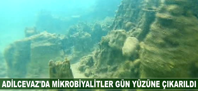 Adilcevaz'da mikrobiyalitler gün yüzüne çıkarıldı