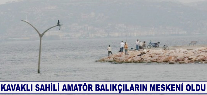 Kavaklı Sahili amatör balıkçıların meskeni oldu