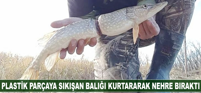 Plastik parçaya sıkışan balığı kurtararak nehre bıraktı