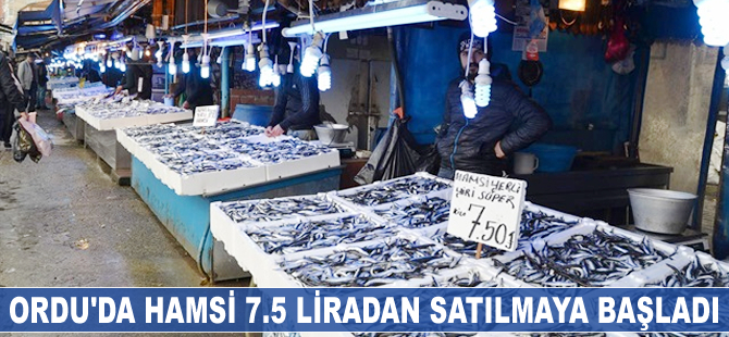 Ordu'da hamsi 7.5 liradan satılmaya başladı