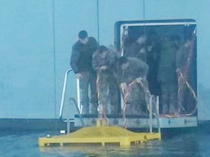 11 kayıp mürettebattan ikisinin cansız bedenine ulaşıldı