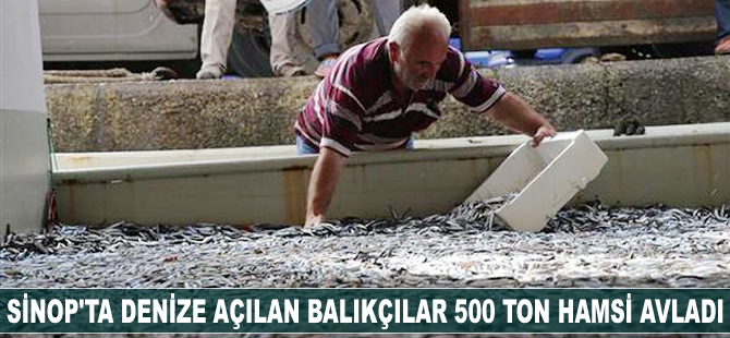 Sinop'ta denize açılan balıkçılar 500 ton hamsi avladı