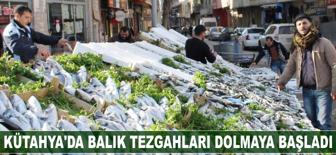 Kütahya’da balık tezgahları dolmaya başladı