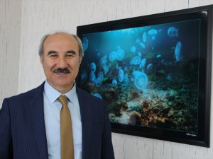 Deniz soğumayınca Marmara'ya "büyük balık göçü" gecikti