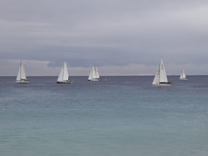 ATSO 11. Yelken Yarışları düzenlendi