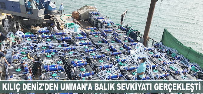 Kılıç Deniz’den Umman’a 1.2 milyonu aşkın balık sevkiyatı yapıldı
