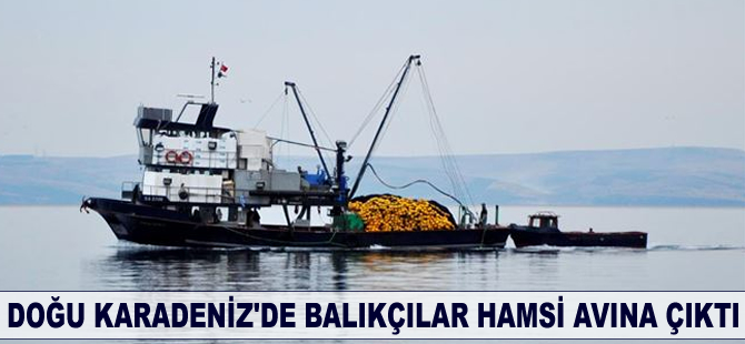Doğu Karadeniz'de balıkçılar hamsi avına çıktı