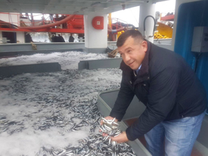 Balıkçılar, Rize Limanı'na hamsi ile döndü