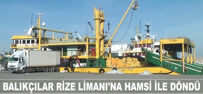 Balıkçılar, Rize Limanı'na hamsi ile döndü