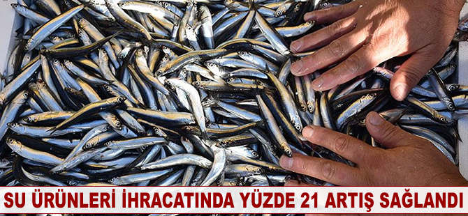 Su ürünleri ihracatı yüzde 21 arttı