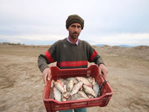 Konyalı balıkçılar Çin sazanı avlamak istemiyor