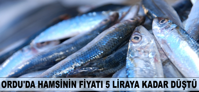 Ordu'da hamsinin kilosu 5 liraya kadar düştü