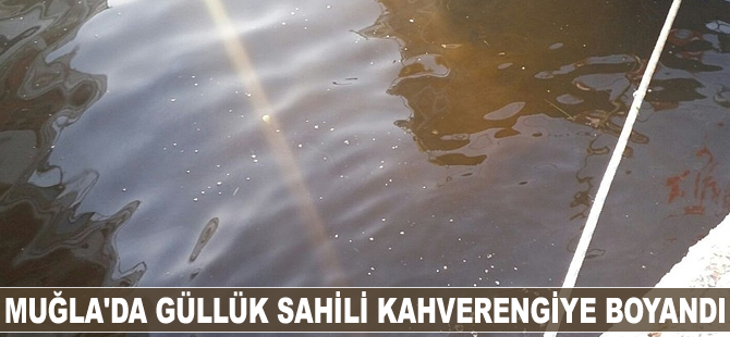 Güllük sahili kahverengiye boyandı