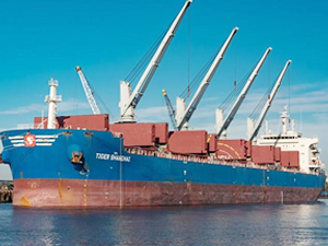 Scorpio Bulkers, Greathorse'dan 3 adet kuru yük gemisi aldı