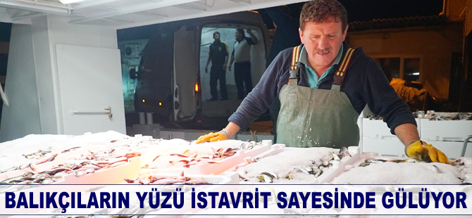 Balıkçıların yüzü istavrit sayesinde gülüyor