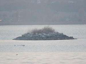 Beyşehir Gölü'nde sular çekilince adacıklar oluştu