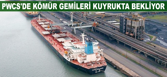 Port Waratah Coal Services’de dökme yük gemileri kuyrukta bekliyor