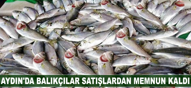 Aydın'da balık bolluğu yaşanıyor