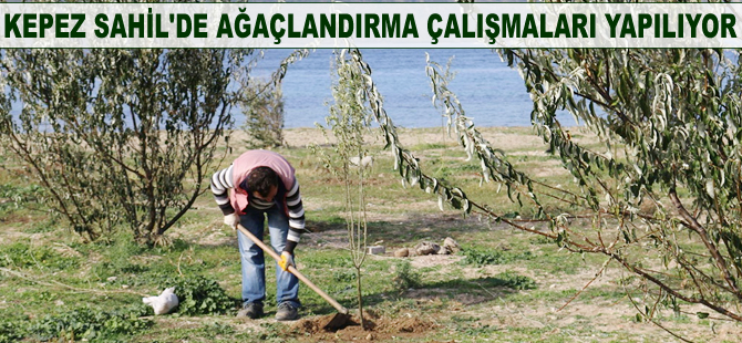 "Daha yeşil Kepez için" projesinde ağaçlandırma çalışmaları yapılıyor