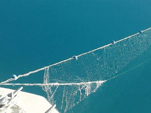 Van Gölü'nde 700 metrelik misina ağı ele geçirildi