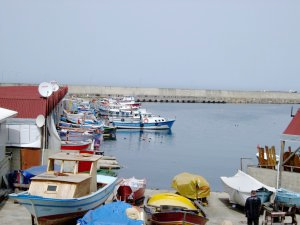 Trabzon’da balıkçılar liman istiyor