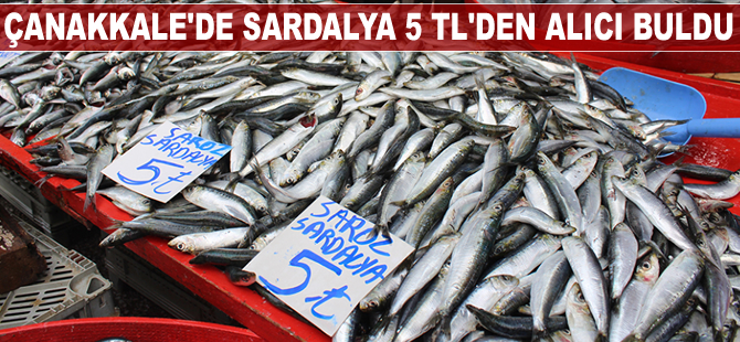Çanakkale'de sardalya 5 TL’den alıcı buldu