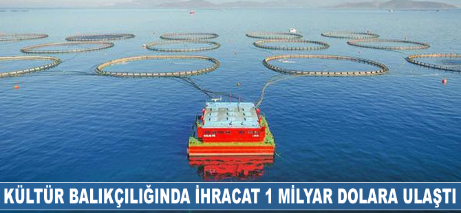 Kültür balıkçılığında ihracat 1 milyar dolara ulaştı