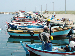 Enez ve Sultaniçe Balıkçı Barınağı ihaleye çıkıyor