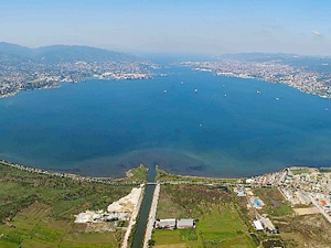 İzmit Körfezi'ne 6 bin balık bırakılacak