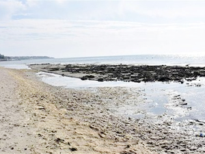 Tekirdağ'da deniz suyunda 10 metre çekilme meydana geldi