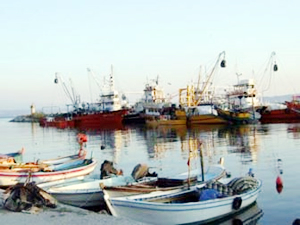 Balıkesir'de 45 tekne destek almak için başvuruda bulundu