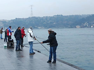'Olta Balıkçılığı Yarışması' Gürpınar Sahili’nde yapılıyor