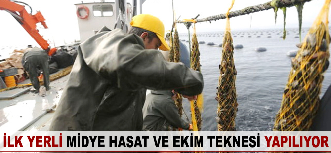 İlk yerli 'midye hasat ve ekim teknesi' yapılıyor