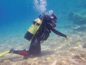 Foça'nın deniz çayırları gözlem altında tutuluyor