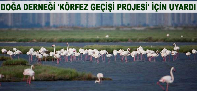 Doğa Derneği 'Körfez Geçişi Projesi' için uyardı