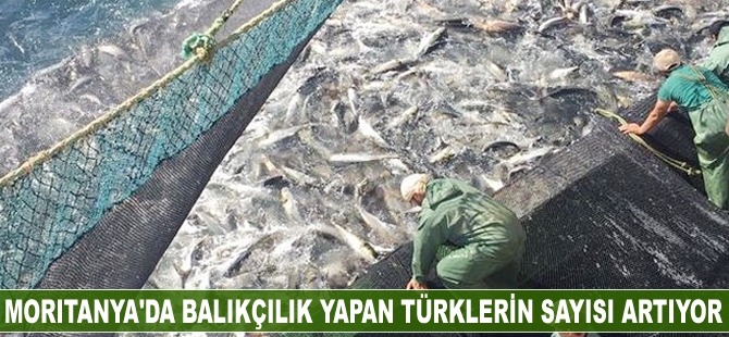 Moritanya'da balıkçılık yapan Türklerin sayısı artıyor