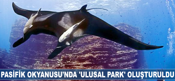 Pasifik Okyanusu'nda 'Ulusal Park' oluşturuldu