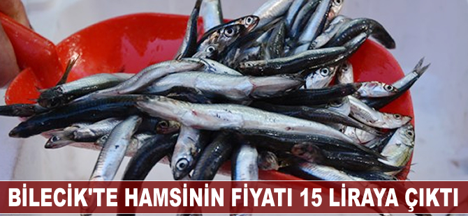 Bilecik'te hamsinin fiyatı 15 liraya çıktı