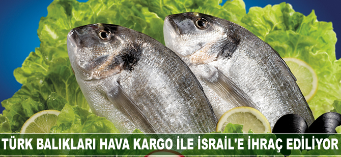 Türk balıkları hava kargo ile İsrail'e ihraç ediliyor