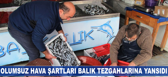 Olumsuz hava şartları balık tezgahlarına yansıdı