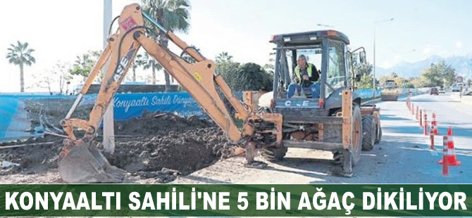 Konyaaltı Sahili’ne 5 bin ağaç dikiliyor