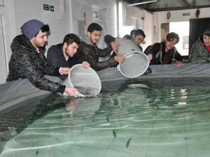 Ege Üniversitesi Su Ürünleri Fakültesi öğrencileri uygulamalı eğitim aldı