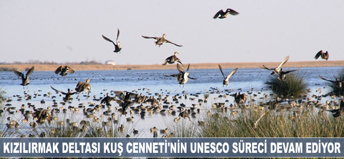 Kızılırmak Deltası Kuş Cenneti'nin UNESCO süreci devam ediyor