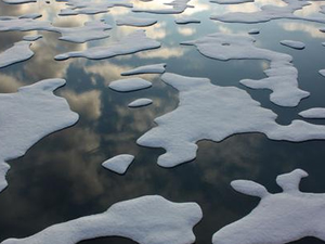 Arktik Okyanusu en az 16 yıl balıkçılığa kapatıldı