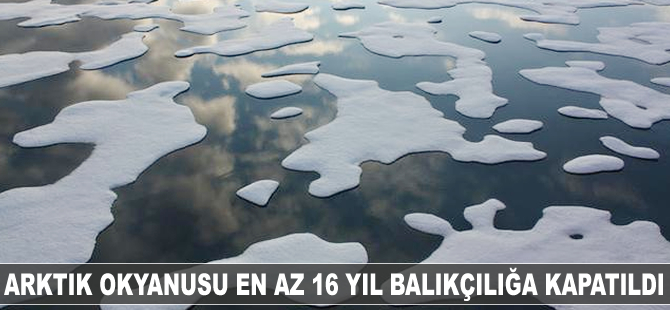 Arktik Okyanusu en az 16 yıl balıkçılığa kapatıldı